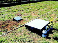 남해군 납골평장묘 분양