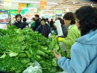 [포토뉴스] 겨울 배추 봄동