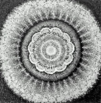 최봉준, 김문수, 농익은 화풍 선뵌다