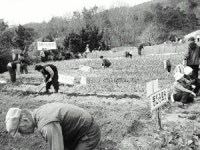 [이웃과 함께 만드는 웰빙 실버]씨뿌리고 거름주며 건강 챙겨