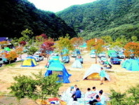 [반갑다! 여름] 오토캠핑·팜스테이 