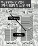 아! 고등어 위판물량 ↑  위판금액 ↓ 