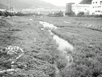 양산 유산천 생태하천으로