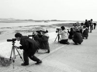 [낙동강 하구 생태 자원화] (12) 시민과 함께한 탐조여행