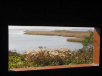 2005 부산환경 뭘했나