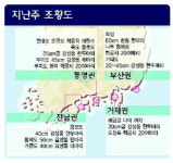 [낚시주황] 두미도 40㎝급 감성돔 낱마리