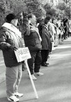 [포토뉴스] '동백섬 시민품으로'