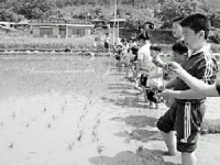 자연 품에서 하룻밤 농촌이 좋아졌어요