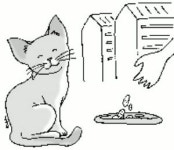 도심 길고양이 이웃과 함께