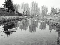 대천천 한번 폭우에 쑥대밭