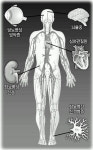 [베스트 닥터 in 부산] ⑦ 당뇨병·갑상선 질환
