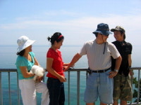 [7번 국도를 달리다] 울진 망양휴게소