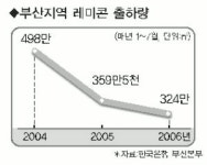 부산지역 레미콘 출하량 급감