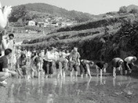 농촌테마마을 잘 돼갑니다