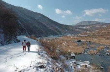 못 먹는 붕어빵? 보기만 해도 대략 달콤