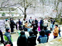 [행사] 오라클 SW개발자를 위한   오라클로 손쉽게 개발하기 세미나 외