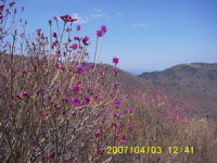 [산&산] <103> 의령 한우산