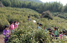 [색다른 봄여행] 하동의 차 시배지