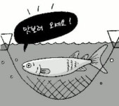 싱싱한 숭어 맛보러 오세요!