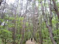 [산&산] <111> 대구 대덕산~앞산~청룡산