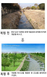 하수구를 생태하천으로
