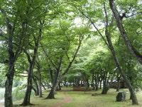 [산&산] 고성 연화산 찾아 가는 길
