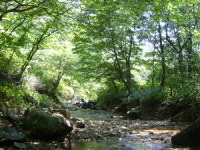 [산&산] <120> 창원 대암산~용추계곡