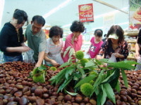 [포토뉴스] 합천 햇밤