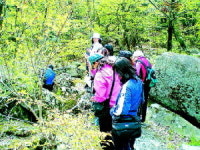 [모집] 남산정사회복지관 노인 무료 건강체조 참가자