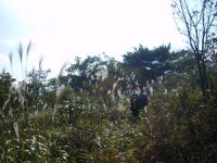 [산&산] <131> 대구 주암산~최정산