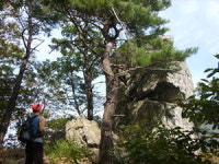 [산&산] 상운산~학심이골 산행보너스&찾아가는 길