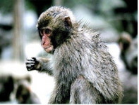 어린이 동물농장에 새 식구