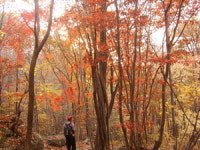 [산&산] <134> 양산 오룡산~통도골