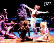 개관 35돌 부산시민회관 · 첫돌 해운대문화회관 기념 공연 기다려지네