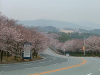 [산&산] <153> 경주 토함산 찾아가는 길