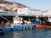 [버려진 보물 부산 남항] ⑤ 공동어시장을 볼거리로