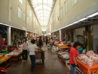 [포토뉴스] 마산어시장 업그레이드