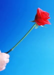 부산 대학가 꽃단장 신입생 유혹