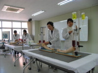 [부·울·경 대학 유망학과] 신라대학교