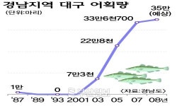 인공수정란 방류로 대구 대박
