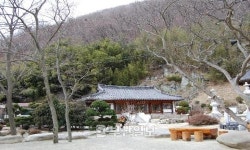 내원사에서 맛보았던 봄