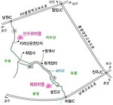 [일상탈출] 광양 매화마을 / 구례 산수유마을