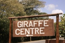 [대학생 현진이의 잠보 아프리카] <2·케냐 上>