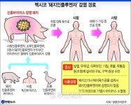 소비 감소 직격탄 맞을라… 유통·양돈업계 초긴장