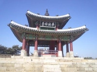 [토막소식] 그루와 송이는 23일과 24일 전북 고창과 영광 일대로 …