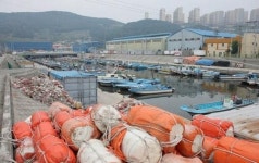 [토요기획] 부산 포구의 과거와 미래