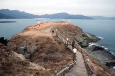 [토막소식] 그루와 송이는 21일 다양한 주제의 산책로가 …