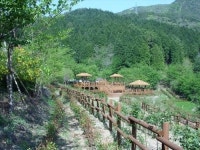 숲속 휘어 도는 보석같은 산책길 활짝