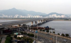 명지대교 아닌 을숙도대교로