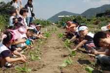 [포토뉴스] 유치원생 초청 주말농장 체험